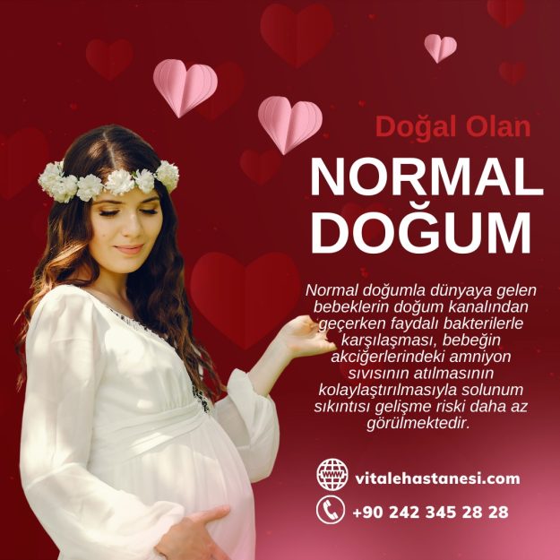 normaldogum